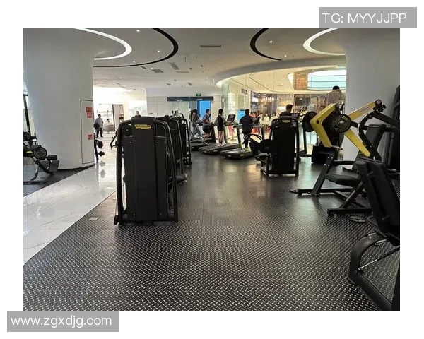 如何通过科学健身提升身体素质和保持健康体型的全面指南