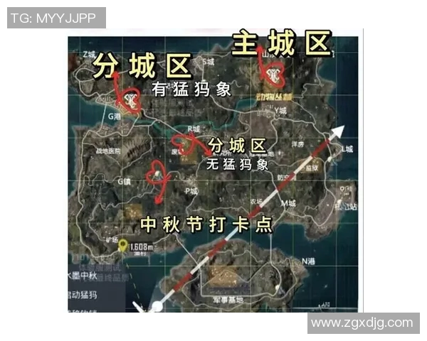 和平精英新手必看攻略：轻松入门的全面配合技巧与策略分享