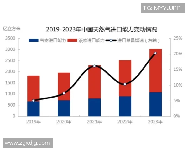 独家解析LNG市场竞争策略与战术对比深度剖析