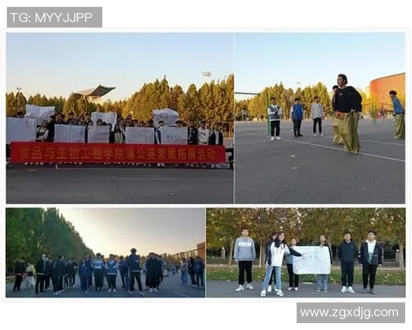 杭州飞盘队心理素质分析与提升策略探讨 杭州飞盘队心理素质分析与提升策略探讨