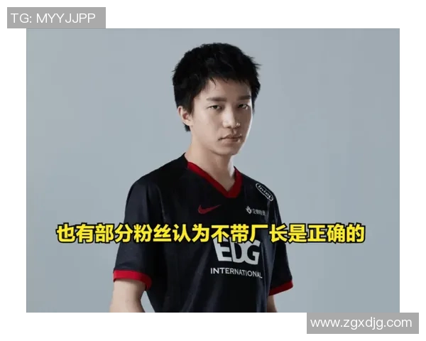 EDG职业联赛表现分析：比赛经验如何影响团队战斗力与策略执行