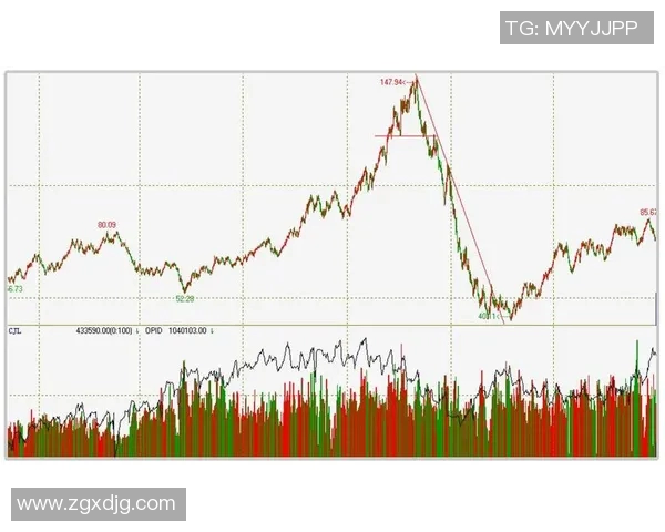 深圳极限运动队的成功运营模式与发展趋势分析