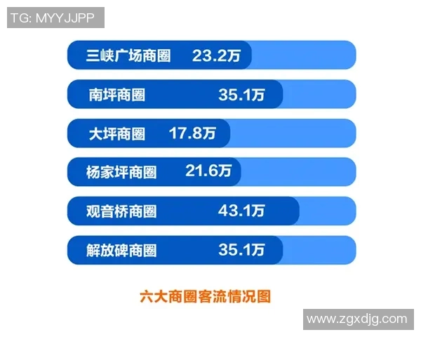 重庆排球队比赛经验分析与数据解读探讨