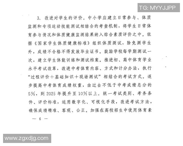 竞技运动组在新时代体育发展中的关键作用与未来趋势分析